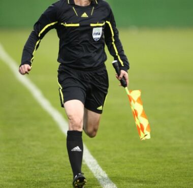 Radomir sluk