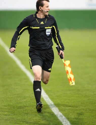 Radomir sluk