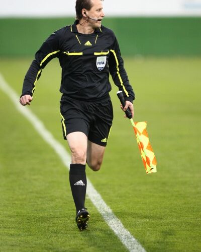 Radomir sluk